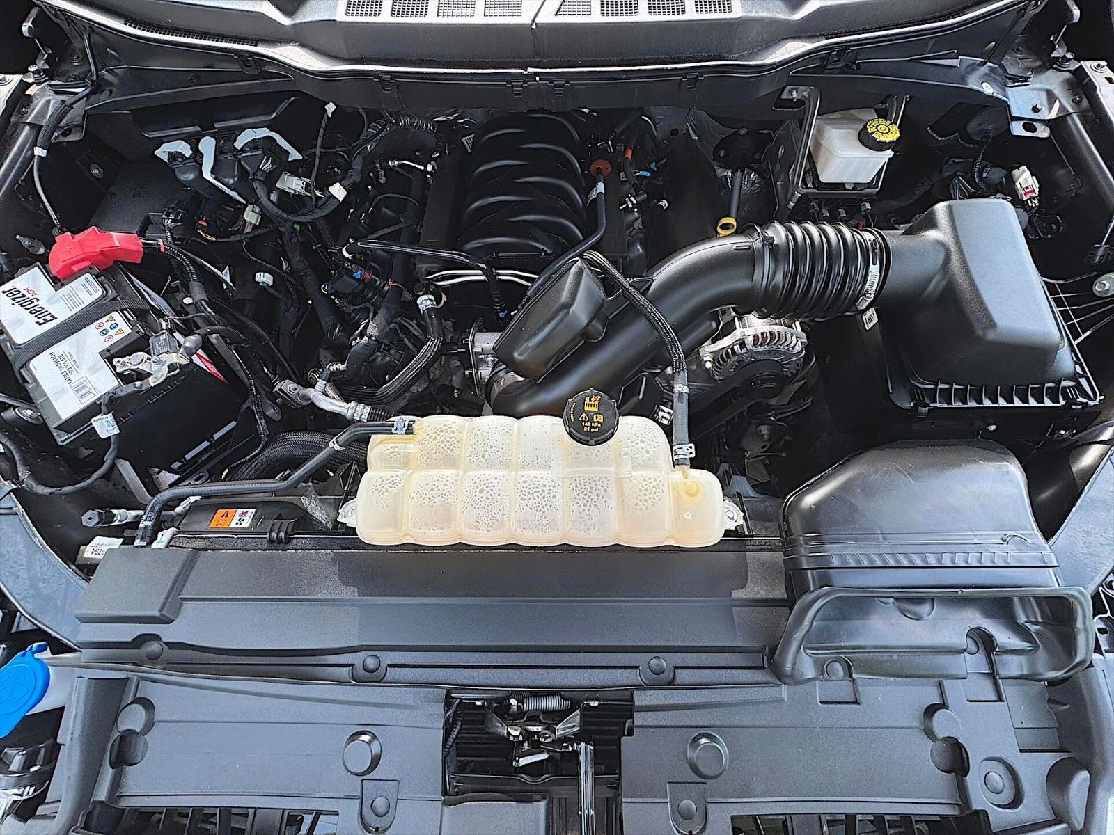 Fahrzeugabbildung Ford F150 5.0L V8 4x4 Offroad SuperCrew RAPTOR 19%