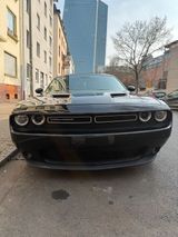 Andere Dodge  Challenger 3,6 - Andere mit Benzin-Antrieb: Coupé