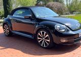 Volkswagen Beetle 1.4 TSI DSG BMT CLUB Cabriolet CLUB - Volkswagen Beetle mit Benzin-Antrieb: Leder, Navigationssystem, Cabrio, Klimaanlage