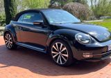 Volkswagen Beetle 1.4 TSI DSG BMT CLUB Cabriolet CLUB - Volkswagen Beetle aus 2015