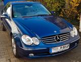 Mercedes-Benz CLK 500 AVANTGARDE Avantgarde - Mercedes-Benz CLK 500: Coupe
