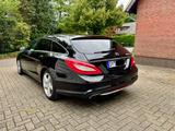 Mercedes-Benz CLS 500 Shooting Brake - - Mercedes-Benz CLS 500 Shooting Brake Gebrauchtwagen