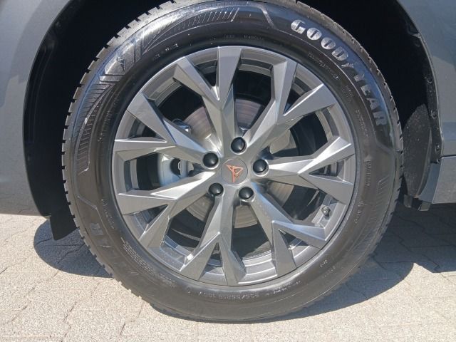 Cupra Terramar - Bild 8