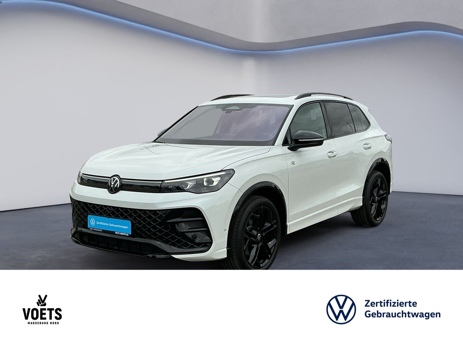 Volkswagen Tiguan 2.0 TDI DSG 4Motion R-Line PANO AHK STH L foto 2