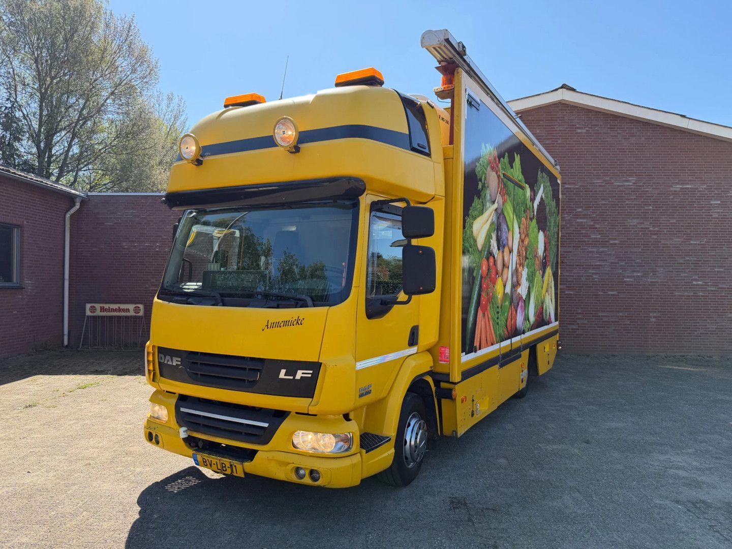 DAF LF 250 / Thermo King MD-300 / Dhollandia Laadkle