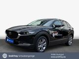 Mazda CX-30 e-SKYACTIVE G 140 Aut. EXCLUSIVE-LINE - Mazda CX-30 in Stuttgart
