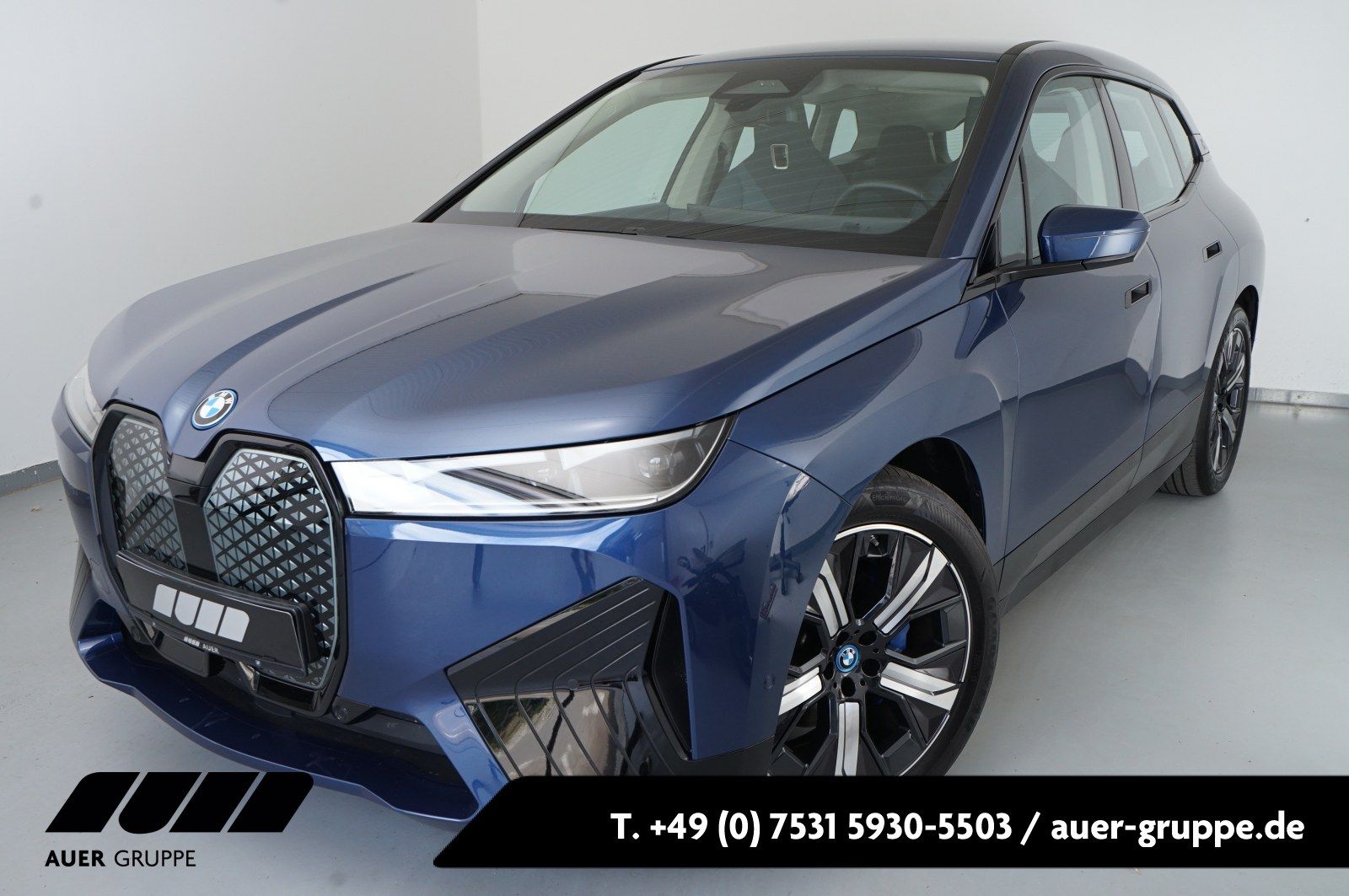 BMW iX xDrive40 (Navi LED SHZ PDC MFL)