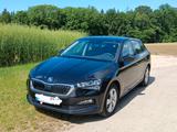 Skoda Scala 1.0 TSI 81kW COOL PLUS COOL PLUS - Skoda Scala von privat
