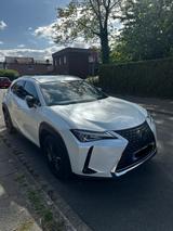 Lexus UX 250h Amazing Edition - Lexus Gebrauchtwagen von 2020