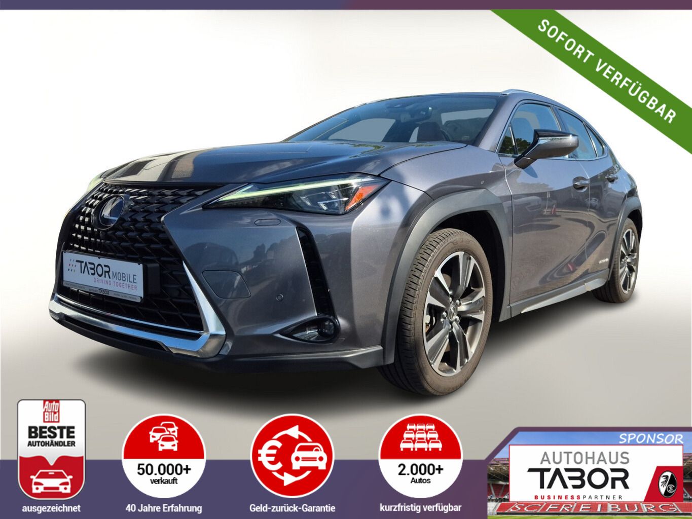 Lexus UX 250h Luxury Line Matrix LED Pano Memory Kam