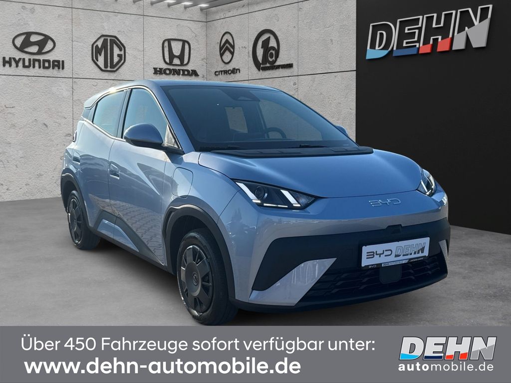 Image of BYD DOLPHIN SURF