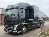 Volvo FH 460 Roelofsen RR5 - 7 Horses - Pop Out - FULL
