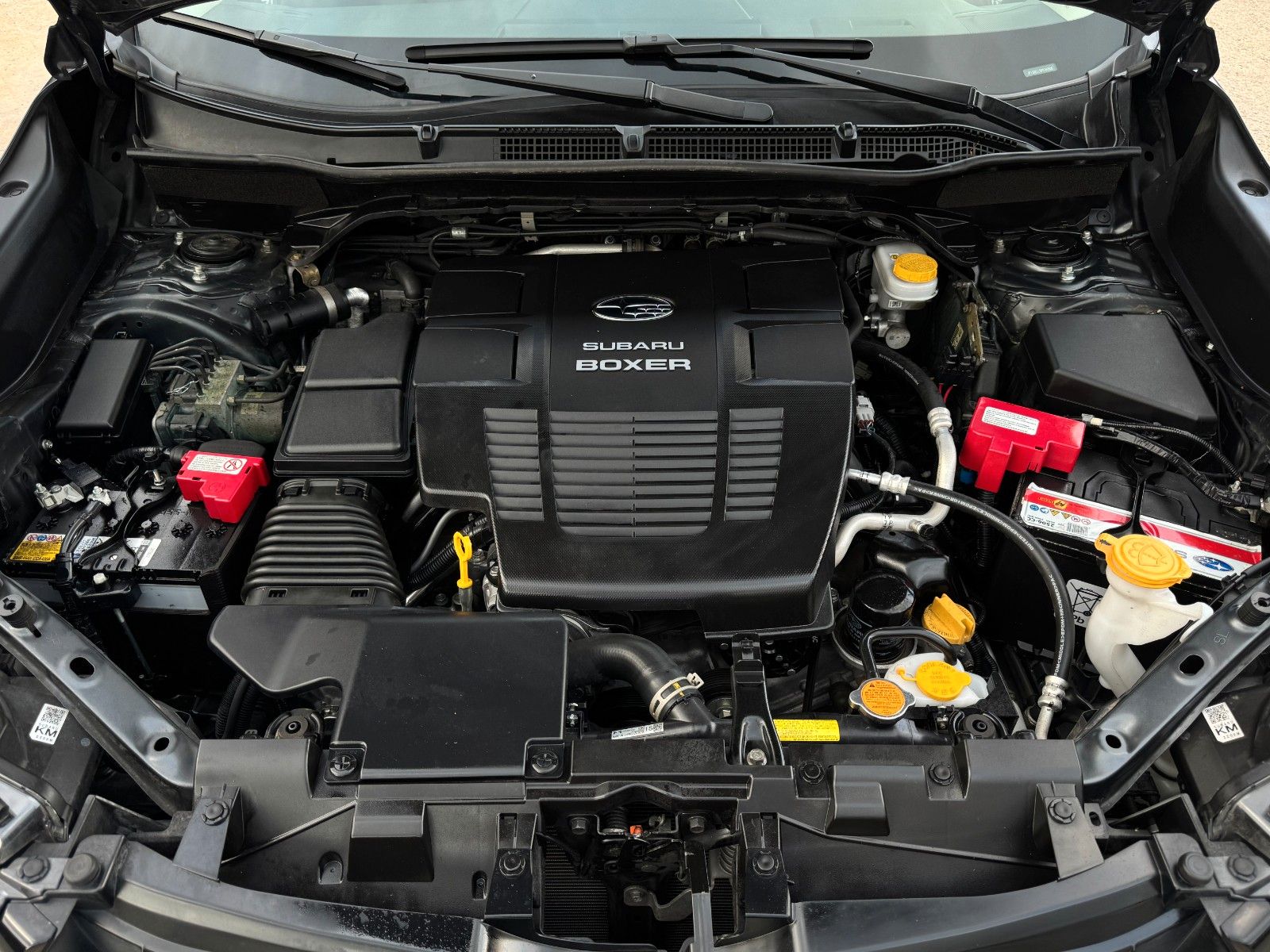 Fahrzeugabbildung Subaru Forester 2.0ie Platinum Standhzg. Pano Leder AHK