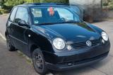 Volkswagen VW Lupo 1,0l Benzin Schalter Faltdach - gebrauchte VW Lupo aus dem Jahr 2002