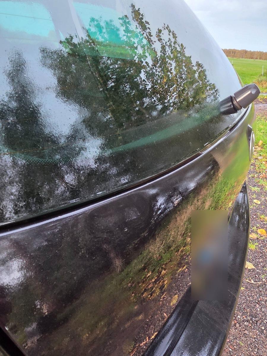 Volkswagen Golf 2008 — photo 12