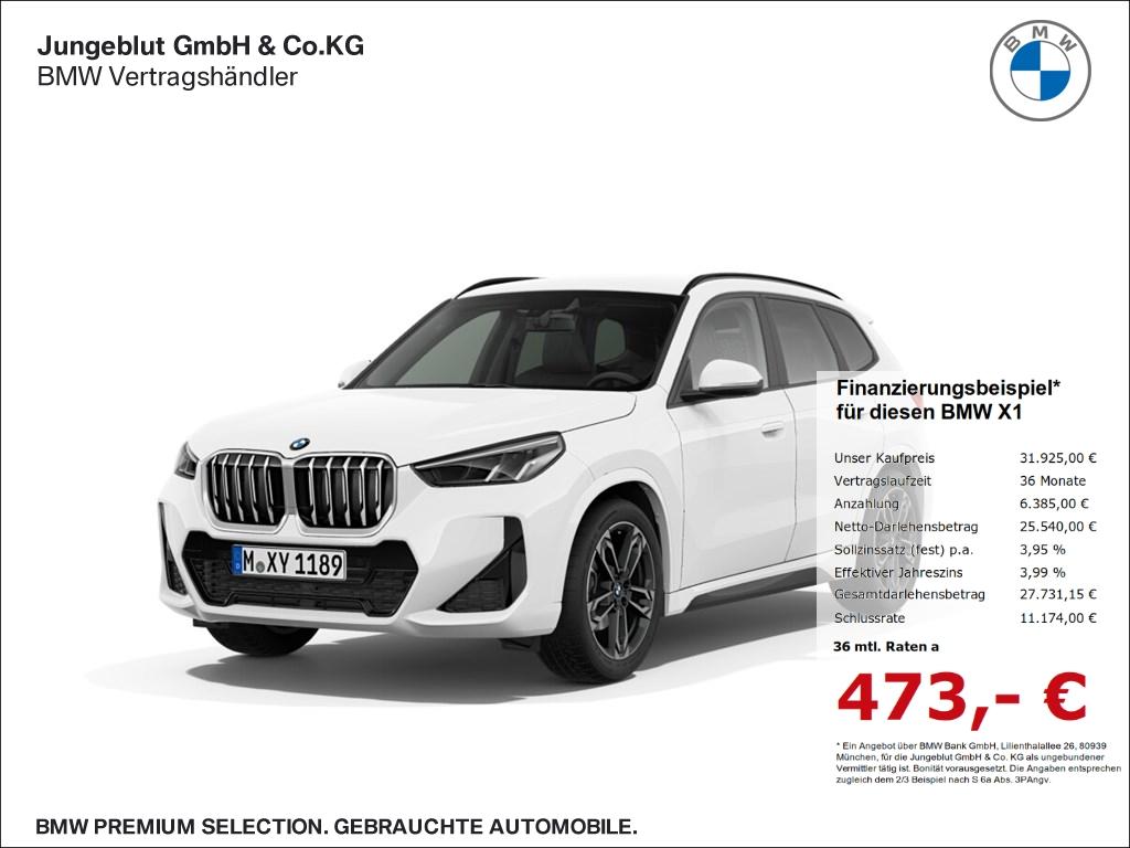 BMW X1 xDrive20d M Sport AHK/Sitzhg./Driv.Assist.Plu