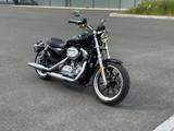 Harley-Davidson Sportster 883L Super Low  - HARLEY-DAVIDSON SPORTSTER 883 LOW