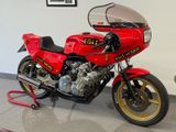 Honda CBX 1000 Egli Replica, Einmalig .TOP 6 in 1 - Angebote entsprechen deinen Suchkriterien