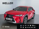 Lexus UX 250h Style Edition *Bi-LED*ACC*CAM*SHZ*CarPla - Lexus UX SUV