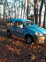 Volkswagen Erdgascaddy günstig - Kombi Günstig gebraucht