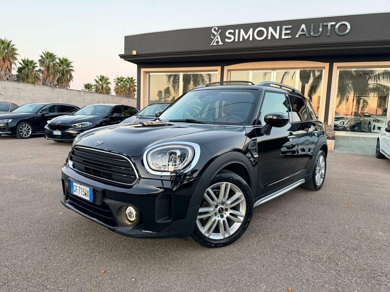 MINI Mini Countryman One D YOURS Tetto/Pelle