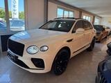 Bentley Bentayga 4.0 V8 auto iva deducibile ulti - weiße Bentley Bentayga