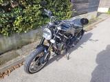 Husqvarna Svartpilen 401 mit Shark Sportauspuff - HUSQVARNA SVARTPILEN 401