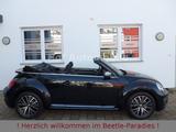 Volkswagen Beetle 2.0TDI DSG Allstar Xenon Kamera Navi SHZ - Volkswagen Beetle mit Diesel-Antrieb: Cabrio