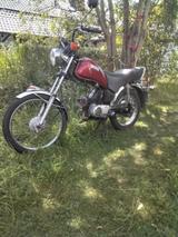 Yamaha FS 80 SE - Offers matching your search criteria