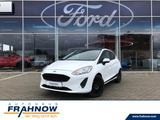 Ford Fiesta 1.1 Trend 5-türig ALU PDC SHZ GRA - Ford Fiesta: Türig