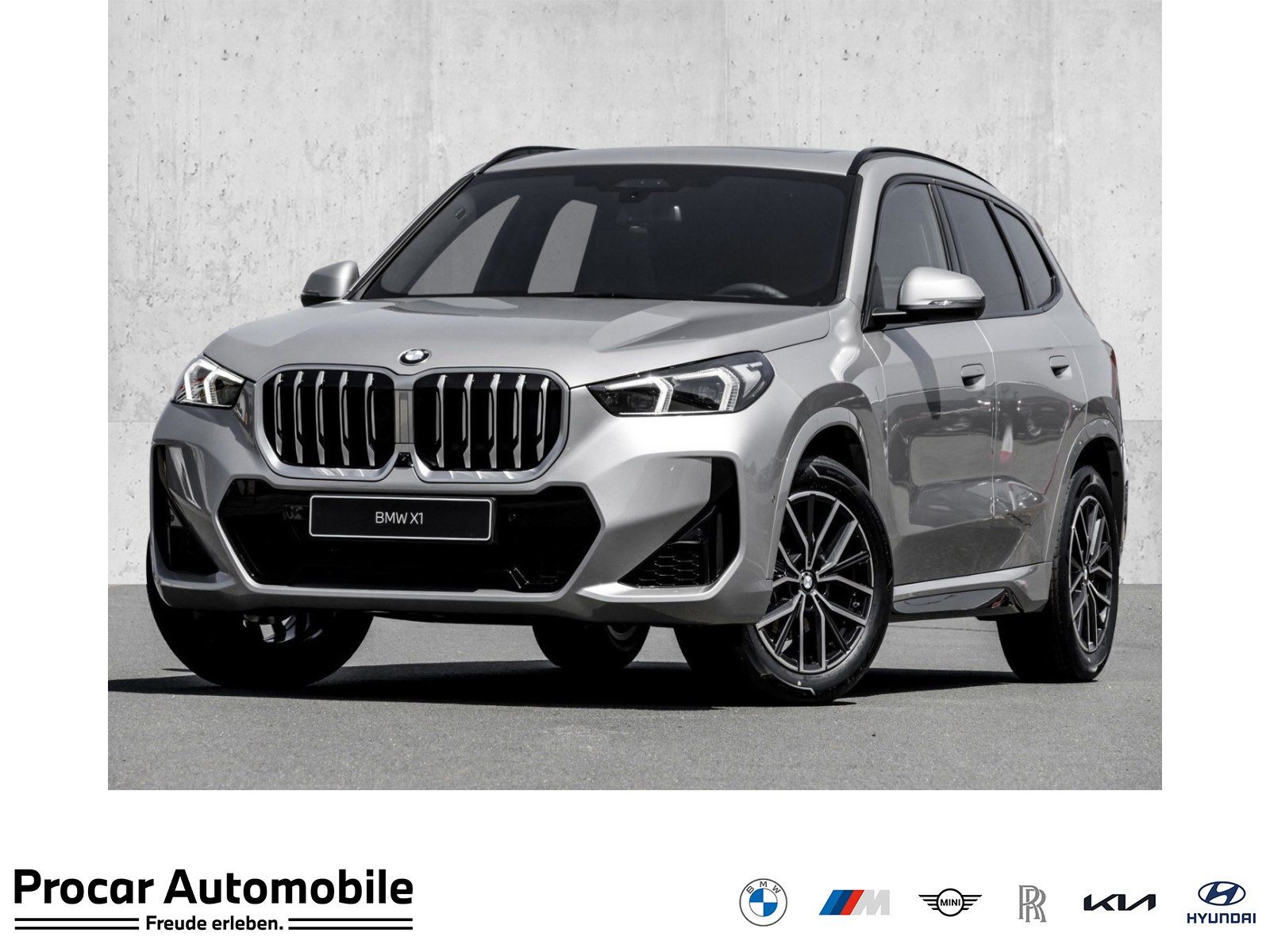 BMW X1 sDrive18i 18" M-Sport DA Prof HuD 360° Pano u
