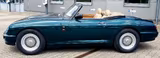 Rover Andere RV8 Roadster MGB V8 1996 Grün Beige - Rover Gebrauchtwagen