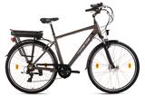 Hollandia E-Citybike 28" Zagon Hollandia - Offers