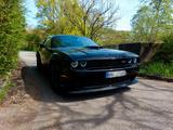 Dodge Challenger Scatpack Shaker  - Dodge Challenger: Shaker