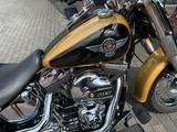 Harley-Davidson Fat Boy  - Offers