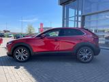 Mazda CX-30 2.0 (186PS) Autom. Takumi BLOP Sitzheizung - Mazda CX-30 Takumi mit Hybrid-Antrieb (Benzin/Elektro)