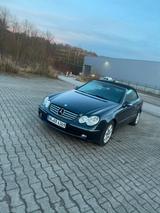 Mercedes-Benz CLK 240 ELEGANCE Elegance - Mercedes-Benz CLK 240: Cabrio