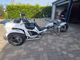 Boom Mustang Family - TRIKE