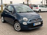 Fiat 500 1.0 GSE N3 Hybrid CULT - gebrauchte Fiat Kleinwagen
