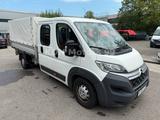 Citroën Pritsche/Klima/3-Seiten Kipper/Maxi/7.Sitzer - Citroën: 7sitzer