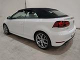 Volkswagen Golf GTI **1.Hand*Bi-Xenon*Leder Vienna** - : Weiß, Cabrio