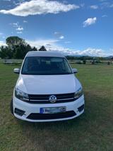 Volkswagen Caddy 1,4TSI 96kW  Trendl.5-Sitz oder Minicamper - Volkswagen Caddy: 9k
