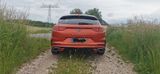 Kia pro_cee'd / ProCeed 1.6 T-GDI GT GT - Kia pro cee'd / ProCeed aus 2019
