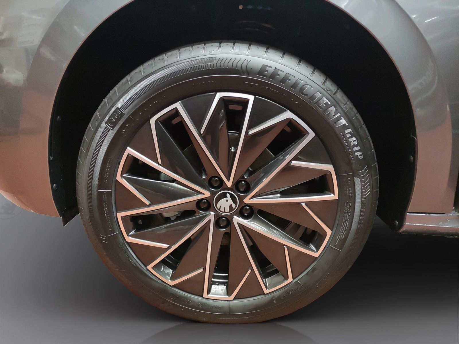 Skoda Kamiq - Bild 5