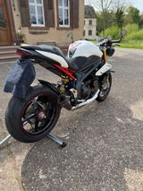 Triumph Speed Triple R - SPEED TRIPLE