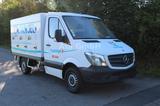 Mercedes-Benz Sprinter 310 CDI Cold Car 3+3 -33C