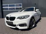BMW 218i 2er Coupe F22 M Sport Paket Navi Bi-Xenon - BMW: Coupe, 2er