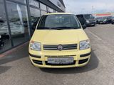 Fiat Panda 1.2 8V Dynamic Automatik - Fiat Panda aus 2009