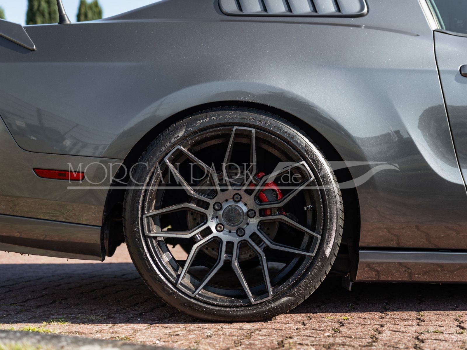 Fahrzeugabbildung Ford Mustang GT *Neidfaktor+480PS*