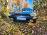 Jaguar XJS - Jaguar XJS Gebrauchtwagen